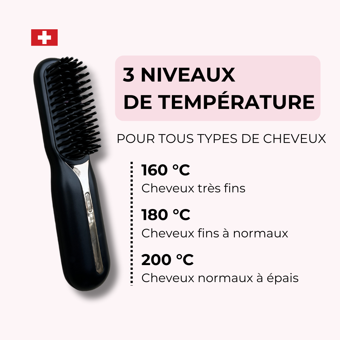 Brosse Lissante Portable 3-en-1
